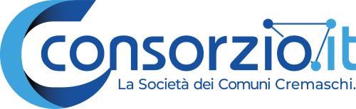 Logo partner CONSORZIO IT